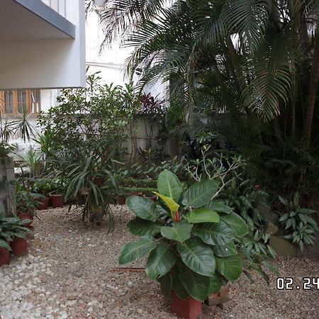 Kochi Sandra'S Home מראה חיצוני תמונה
